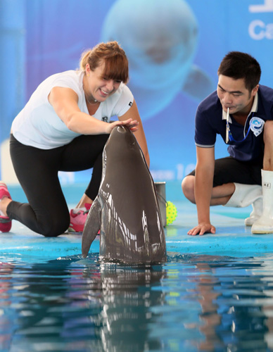 戴维斯这两 戴维斯这两